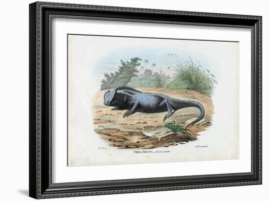 Lizard, 1863-79-Raimundo Petraroja-Framed Giclee Print