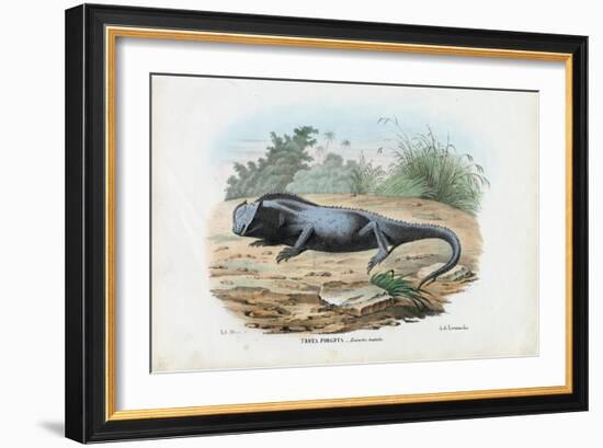 Lizard, 1863-79-Raimundo Petraroja-Framed Giclee Print