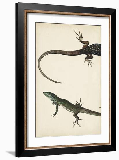 Lizard Diptych I-Vision Studio-Framed Art Print