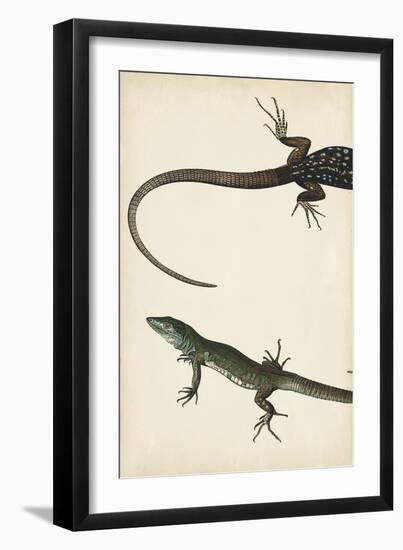 Lizard Diptych I-Vision Studio-Framed Art Print