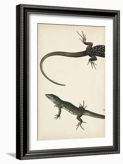 Lizard Diptych I-Vision Studio-Framed Art Print