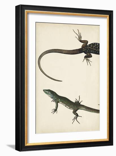 Lizard Diptych I-Vision Studio-Framed Art Print