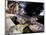 Lizard Mosaic in Parc Guell, Barcelona, Spain-Michele Molinari-Mounted Photographic Print