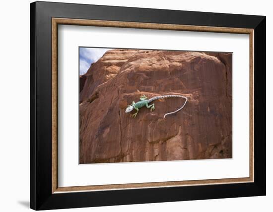 Lizard on surface of rock, Hole 'N the Rock, Zion National Park, Utah, USA-Panoramic Images-Framed Premium Photographic Print