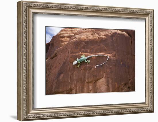 Lizard on surface of rock, Hole 'N the Rock, Zion National Park, Utah, USA-Panoramic Images-Framed Photographic Print