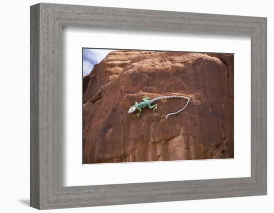 Lizard on surface of rock, Hole 'N the Rock, Zion National Park, Utah, USA-Panoramic Images-Framed Photographic Print