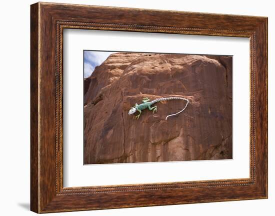 Lizard on surface of rock, Hole 'N the Rock, Zion National Park, Utah, USA-Panoramic Images-Framed Photographic Print