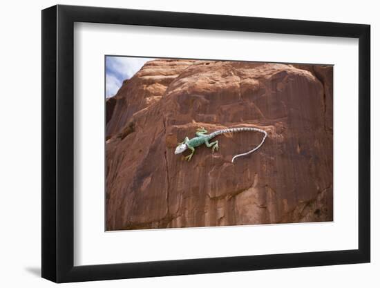 Lizard on surface of rock, Hole 'N the Rock, Zion National Park, Utah, USA-Panoramic Images-Framed Photographic Print