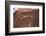 Lizard on surface of rock, Hole 'N the Rock, Zion National Park, Utah, USA-Panoramic Images-Framed Photographic Print