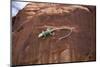 Lizard on surface of rock, Hole 'N the Rock, Zion National Park, Utah, USA-Panoramic Images-Mounted Photographic Print