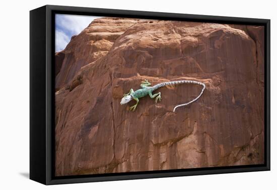 Lizard on surface of rock, Hole 'N the Rock, Zion National Park, Utah, USA-Panoramic Images-Framed Premier Image Canvas