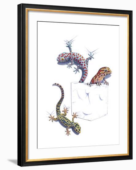 Lizards-null-Framed Giclee Print