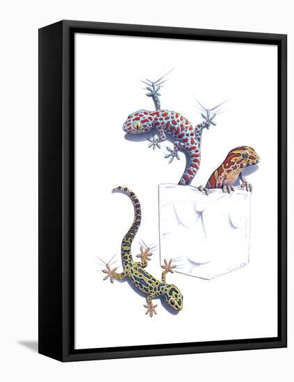 Lizards-null-Framed Premier Image Canvas