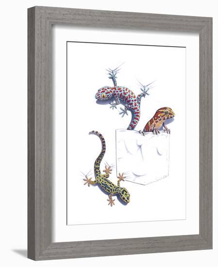 Lizards-null-Framed Giclee Print