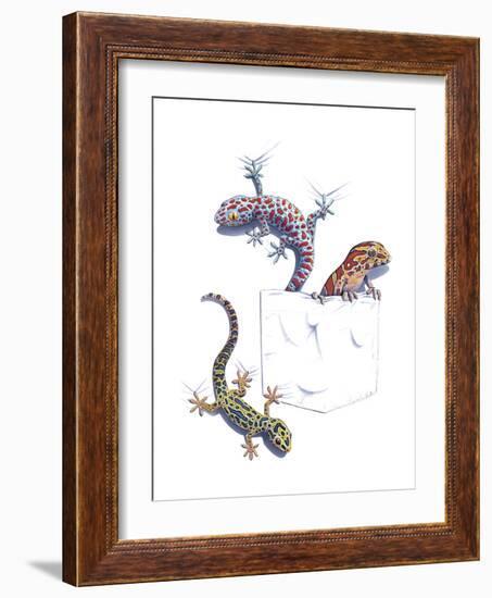 Lizards-null-Framed Giclee Print