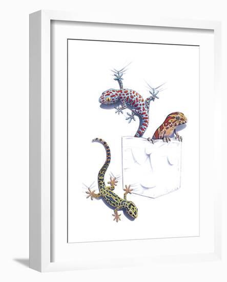 Lizards-null-Framed Giclee Print