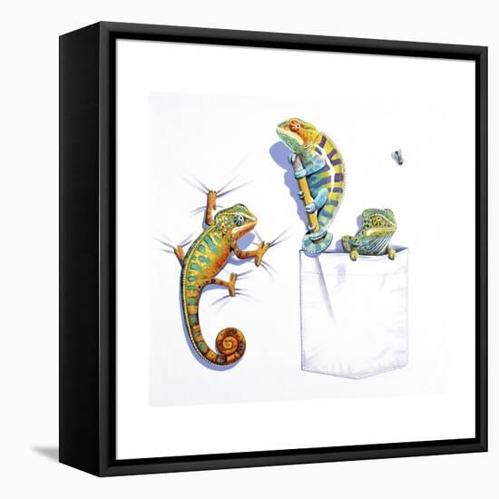Lizards-null-Framed Premier Image Canvas