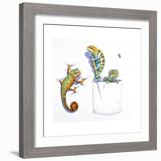 Lizards-null-Framed Giclee Print