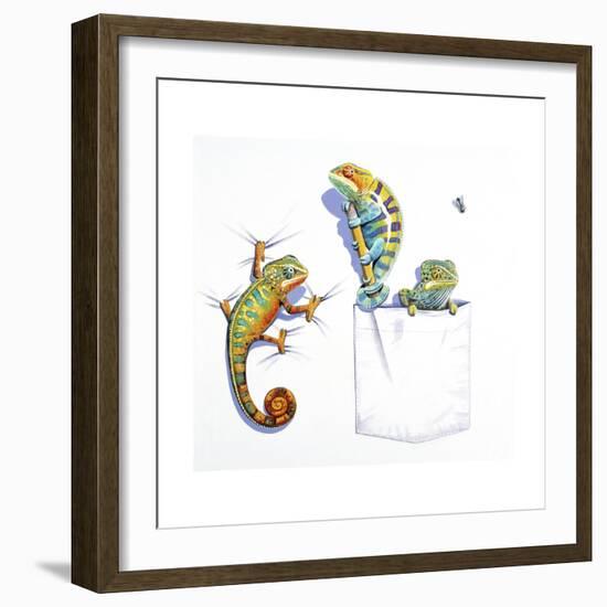 Lizards-null-Framed Giclee Print