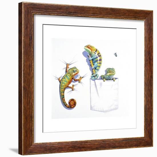 Lizards-null-Framed Giclee Print