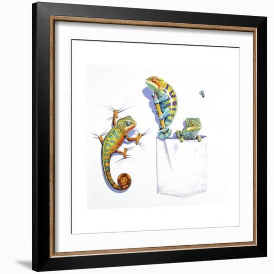 Lizards-null-Framed Giclee Print