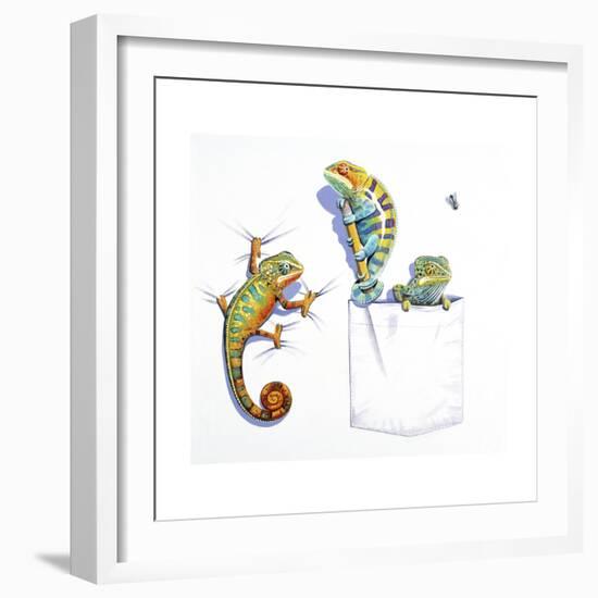 Lizards-null-Framed Giclee Print