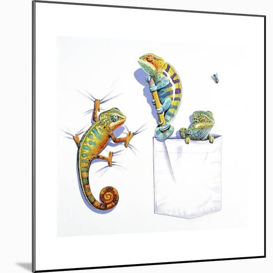 Lizards-null-Mounted Giclee Print