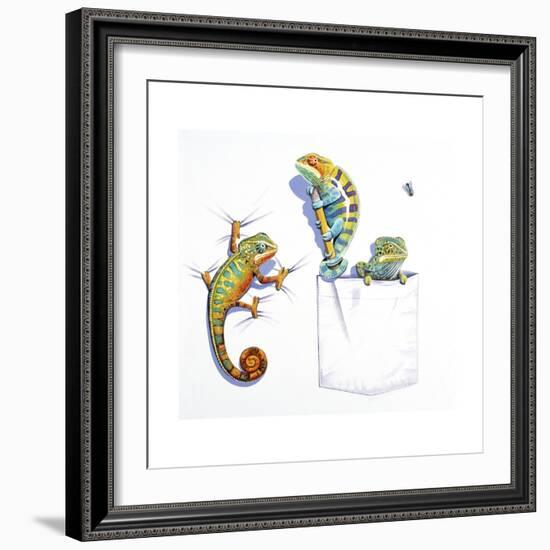 Lizards-null-Framed Giclee Print