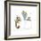 Lizards-null-Framed Giclee Print