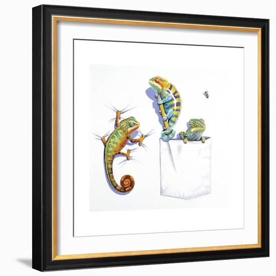 Lizards-null-Framed Giclee Print