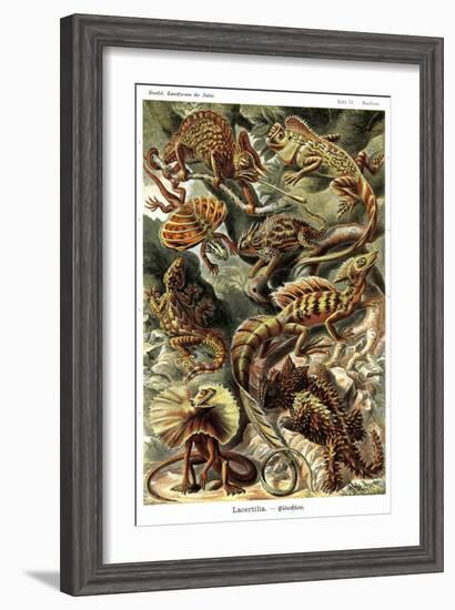 Lizards-Ernst Haeckel-Framed Art Print