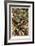 Lizards-Ernst Haeckel-Framed Art Print