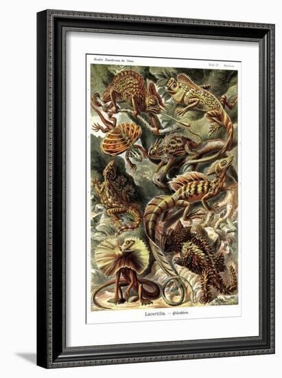 Lizards-Ernst Haeckel-Framed Art Print