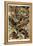 Lizards-Ernst Haeckel-Framed Stretched Canvas