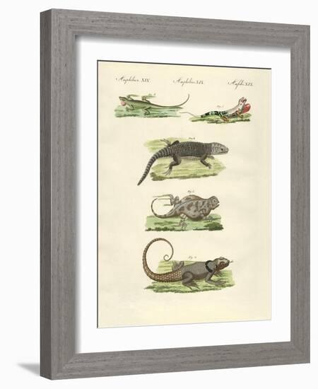 Lizards-null-Framed Giclee Print