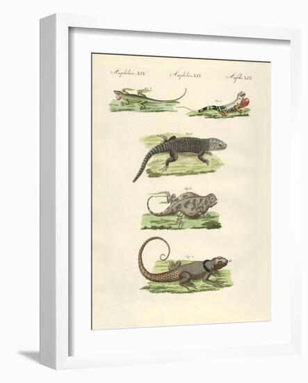 Lizards-null-Framed Giclee Print