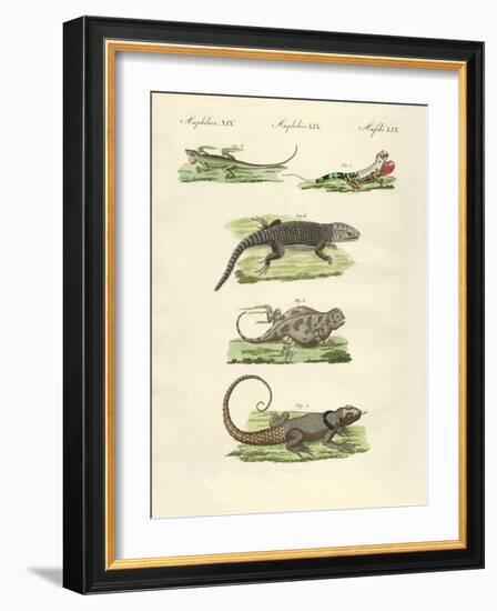 Lizards-null-Framed Giclee Print