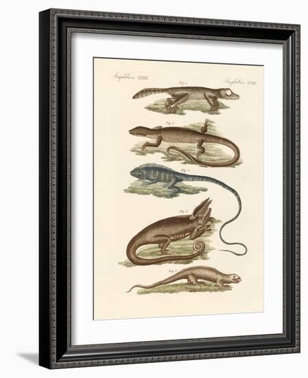 Lizards-null-Framed Giclee Print