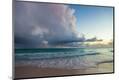 Premium Photographic Print