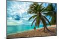 Premium Photographic Print