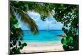 Premium Photographic Print