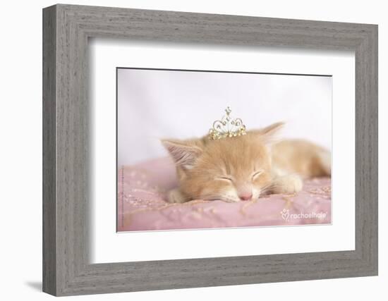 Lizzy-Rachael Hale-Framed Photo