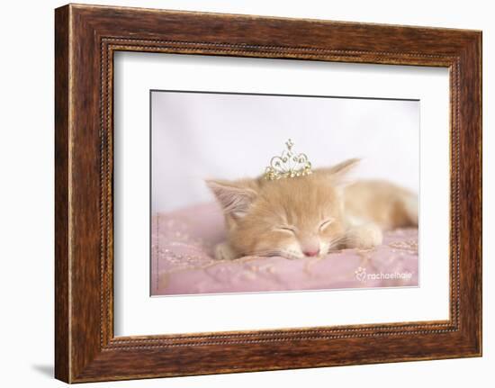 Lizzy-Rachael Hale-Framed Photo