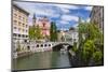 Ljubljanica River-Matthew Williams-Ellis-Mounted Photographic Print