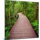 Premium Photographic Print
