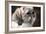 Llahso Apso-Lori Hutchison-Framed Photographic Print