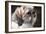 Llahso Apso-Lori Hutchison-Framed Photographic Print