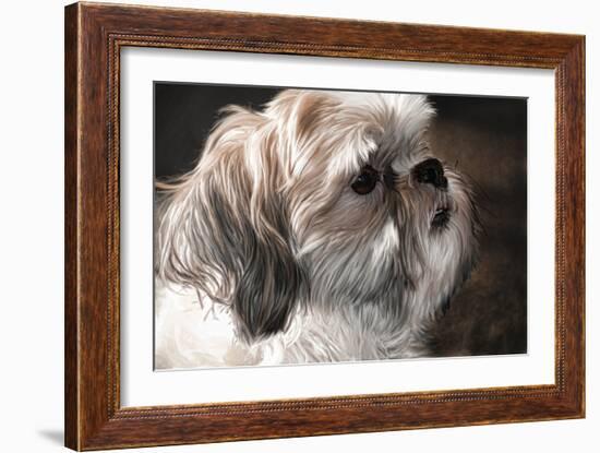 Llahso Apso-Lori Hutchison-Framed Photographic Print