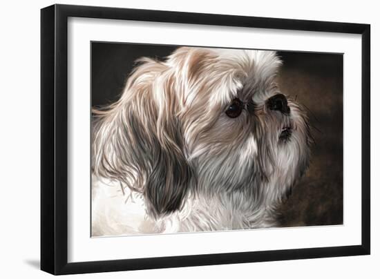 Llahso Apso-Lori Hutchison-Framed Photographic Print