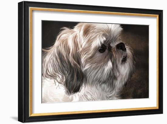 Llahso Apso-Lori Hutchison-Framed Photographic Print